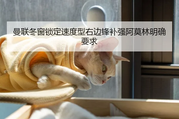 曼联冬窗锁定速度型右边锋补强阿莫林明确要求